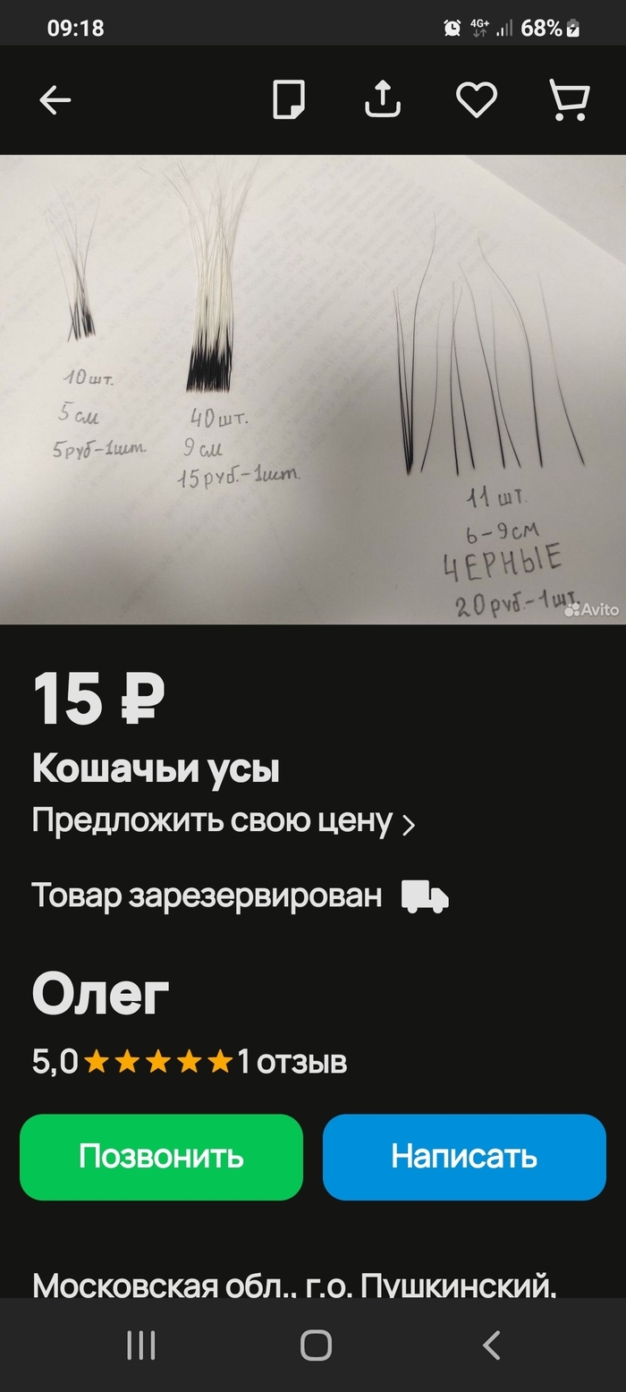 Авито барнаул доска бесплатных объявлений котята