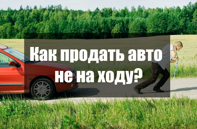 Авито гатчина доска объявлений