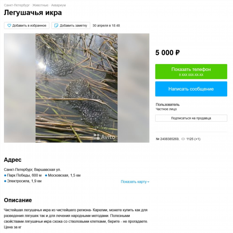 Авито калуга доска бесплатных животных объявлений от частных