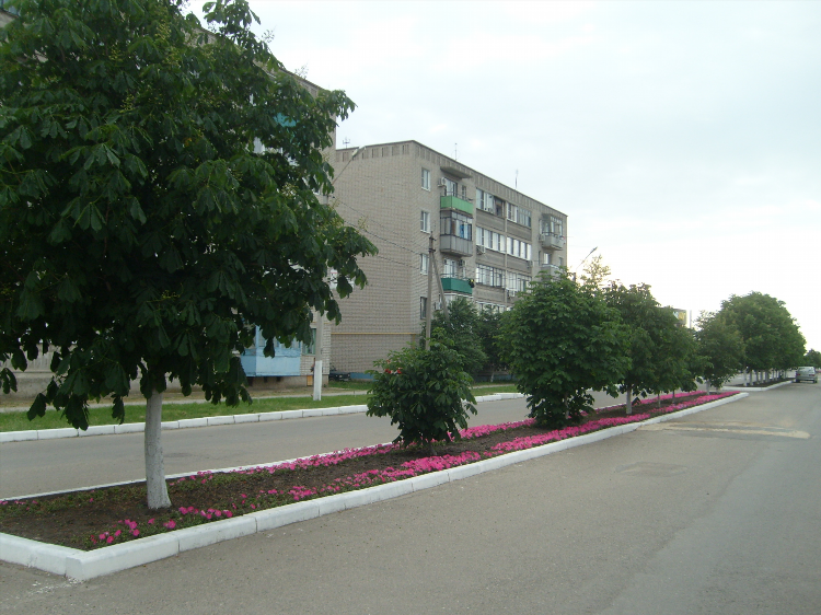 Авито приморско ахтарск объявления все