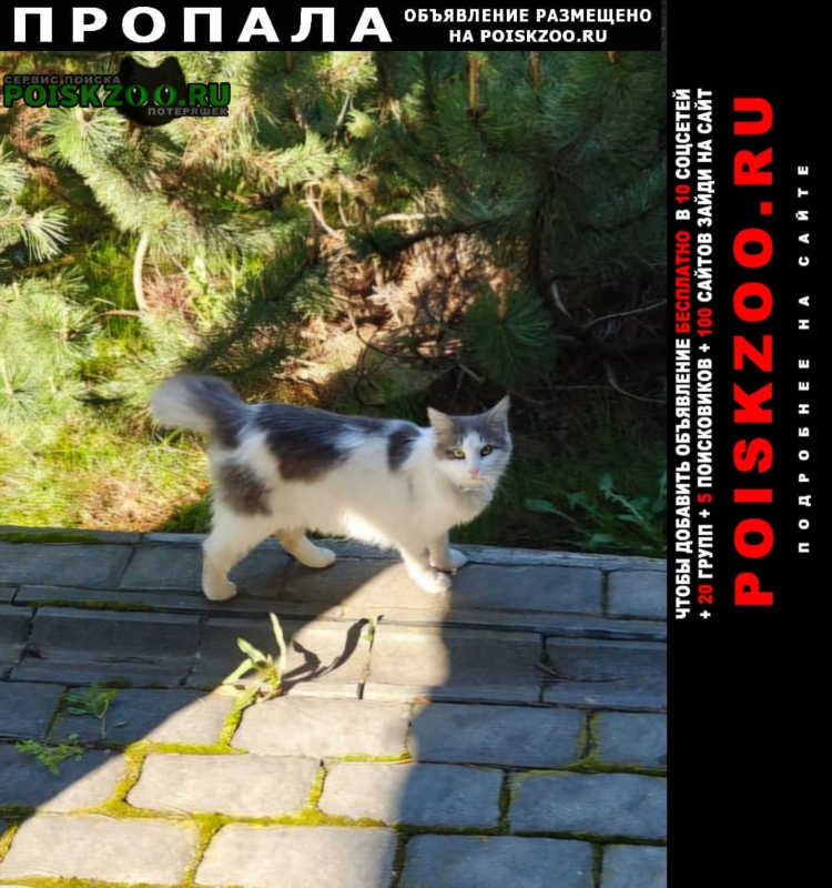 Авито раменское доска объявлений раменское
