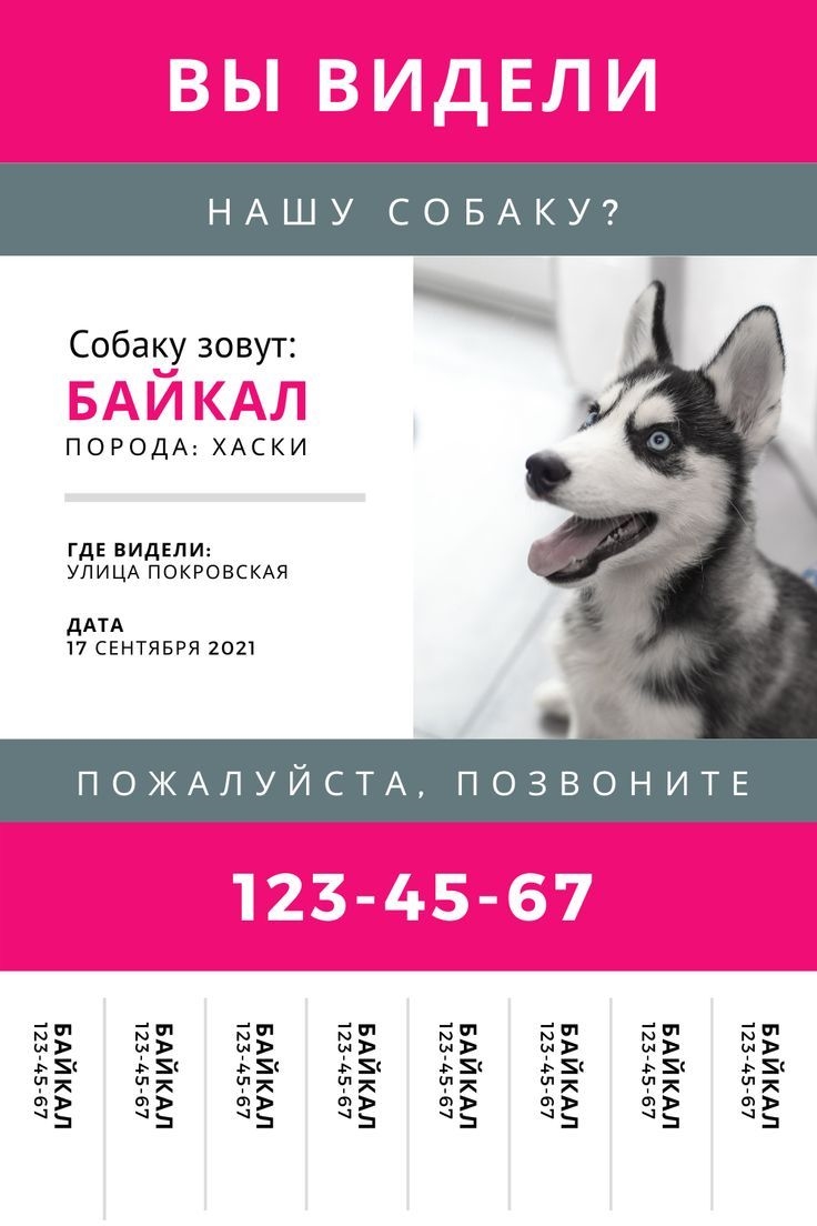 Авито рубцовск доска бесплатных объявлений собаки