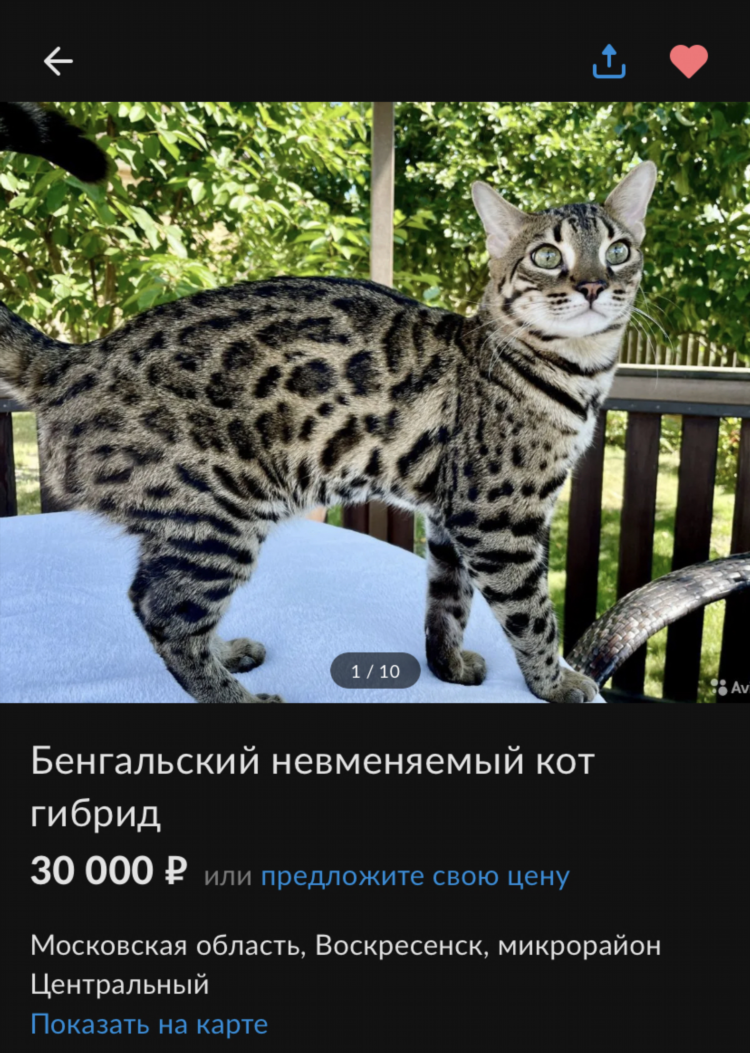 Авито воскресенск объявления