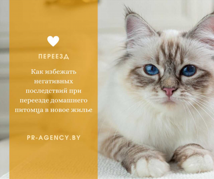 Бесплатные доски объявлений недвижимости от частных лиц