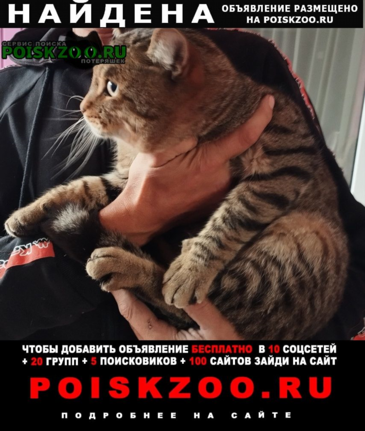 Доска объявлений новосибирской