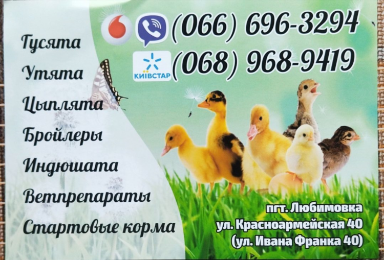Доска объявлений сельхозпроизводителей