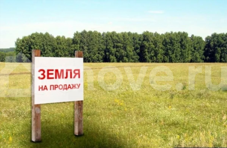 Доска объявлений в луге вакансии
