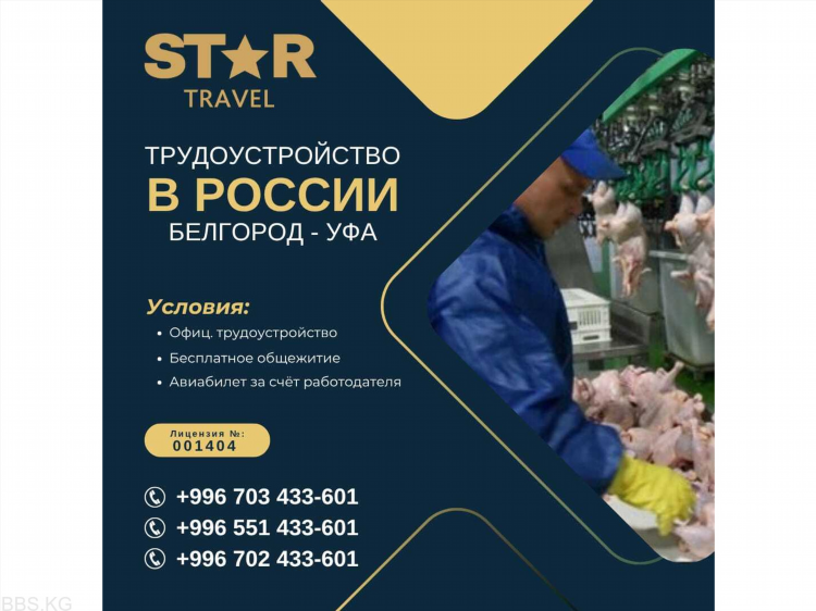 Доски объявлений бесплатные белгород