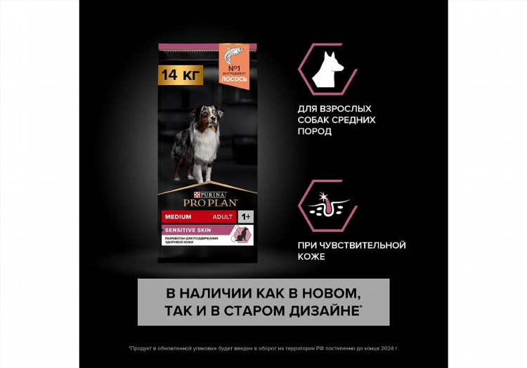 Как написать объявление о продаже собаки