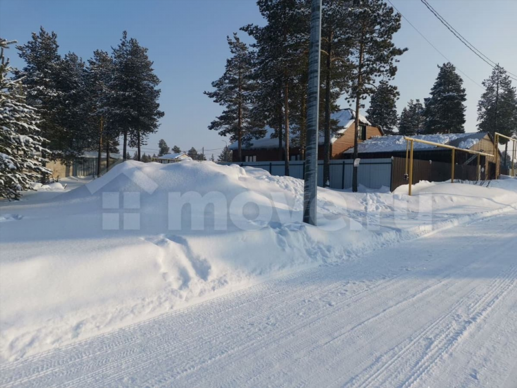 Кедровый доска объявлений