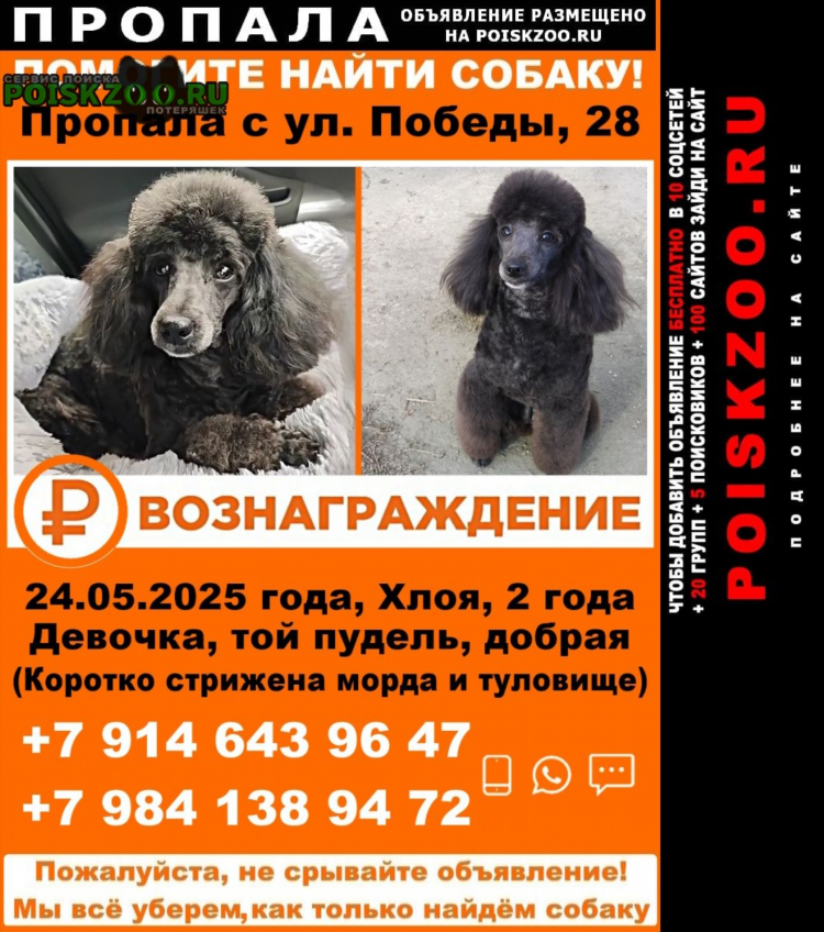 Краткое объявление