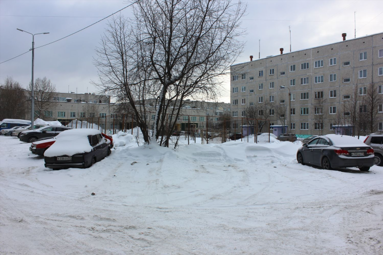 Купить квартиру в зеленоборском мурманской области свежие объявления