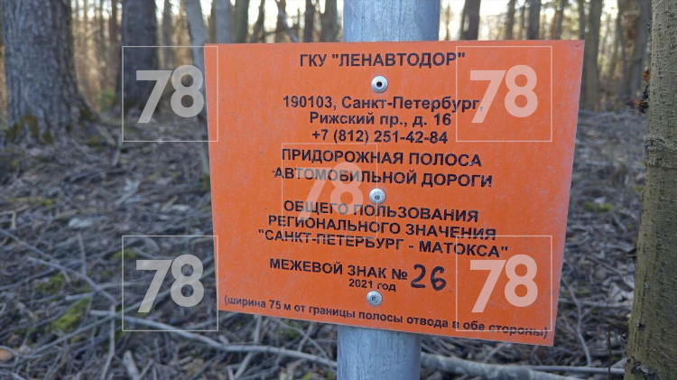 Кузьмолово в контакте объявления лайф