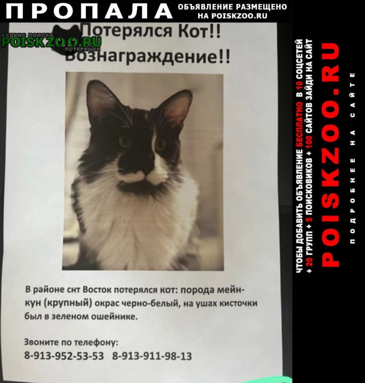 Объявления бесплатно разместить новосибирск