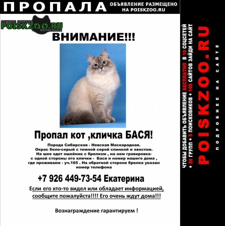 Поиск объявлений по номеру