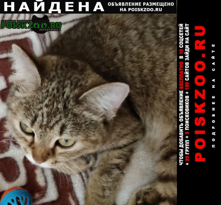 Саяногорск инфо объявления