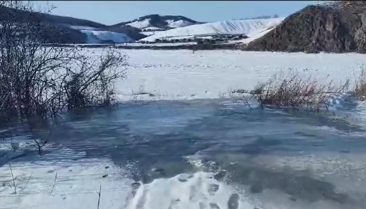 Шилка доска объявлений бесплатно