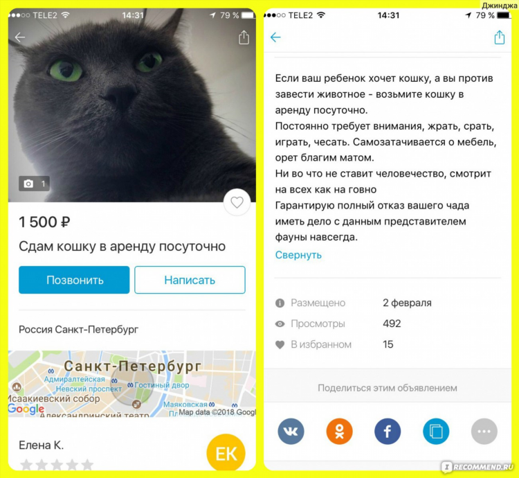 Смешное объявление про кота