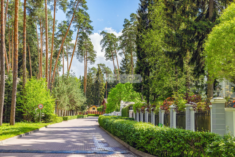 Сосновый бор доска объявлений спб